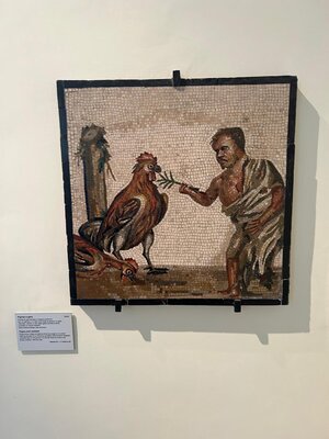 WhatsApp Image 2024-06-01 at 21.53.38